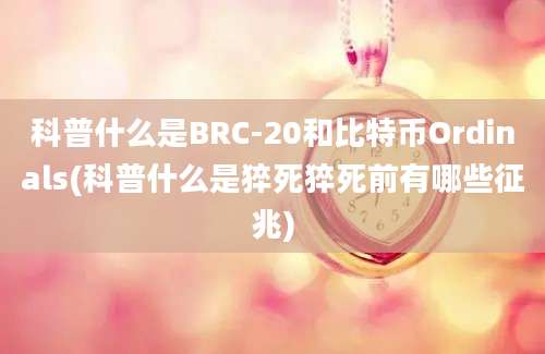 科普什么是BRC-20和比特币Ordinals(科普什么是猝死猝死前有哪些征兆)