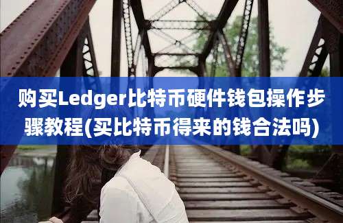 购买Ledger比特币硬件钱包操作步骤教程(买比特币得来的钱合法吗)