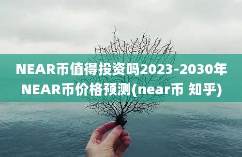 NEAR币值得投资吗2023-2030年NEAR币价格预测(near币 知乎)