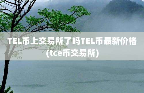 TEL币上交易所了吗TEL币最新价格(tce币交易所)