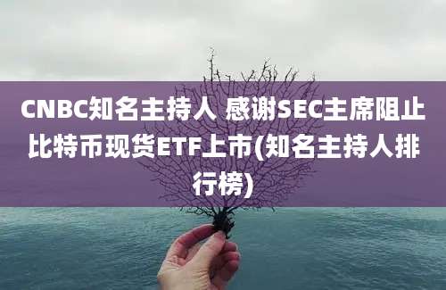 CNBC知名主持人 感谢SEC主席阻止比特币现货ETF上市(知名主持人排行榜)