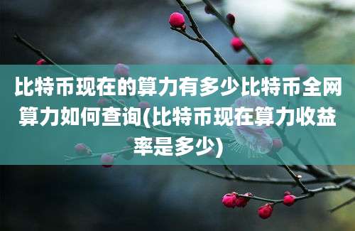 比特币现在的算力有多少比特币全网算力如何查询(比特币现在算力收益率是多少)