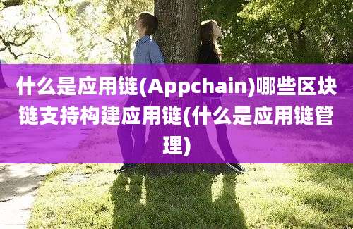 什么是应用链(Appchain)哪些区块链支持构建应用链(什么是应用链管理)