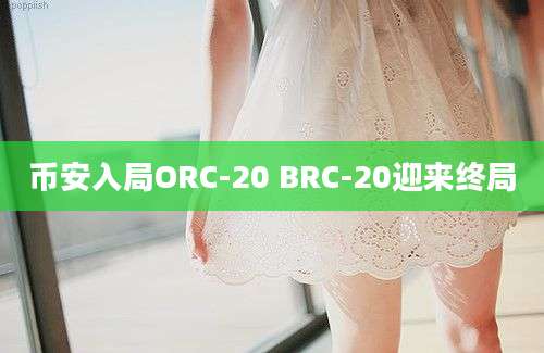 币安入局ORC-20 BRC-20迎来终局