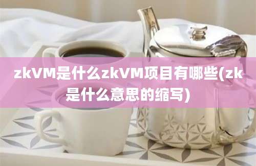 zkVM是什么zkVM项目有哪些(zk是什么意思的缩写)