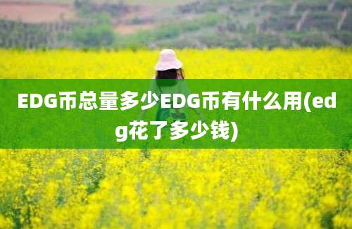 EDG币总量多少EDG币有什么用(edg花了多少钱)