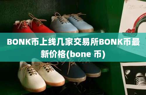 BONK币上线几家交易所BONK币最新价格(bone 币)