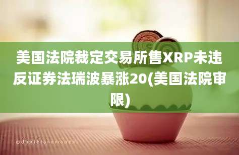 美国法院裁定交易所售XRP未违反证券法瑞波暴涨20(美国法院审限)