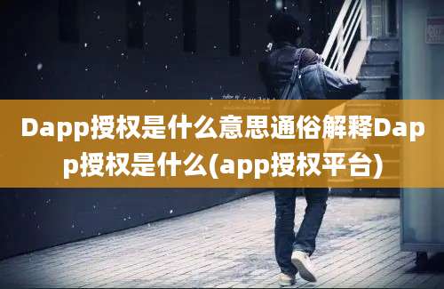 Dapp授权是什么意思通俗解释Dapp授权是什么(app授权平台)