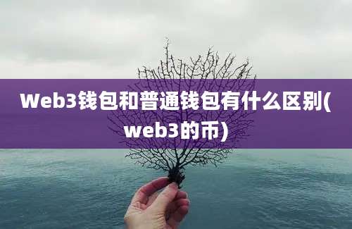 Web3钱包和普通钱包有什么区别(web3的币)