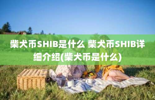 柴犬币SHIB是什么 柴犬币SHIB详细介绍(柴犬币是什么)