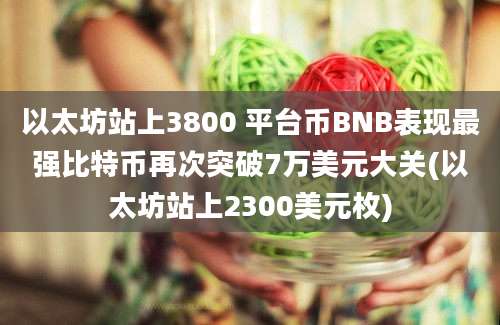 以太坊站上3800 平台币BNB表现最强比特币再次突破7万美元大关(以太坊站上2300美元枚)