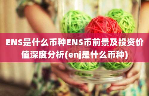 ENS是什么币种ENS币前景及投资价值深度分析(enj是什么币种)