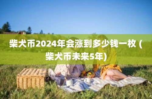 柴犬币2024年会涨到多少钱一枚 (柴犬币未来5年)