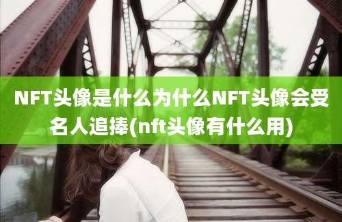 NFT头像是什么为什么NFT头像会受名人追捧(nft头像有什么用)