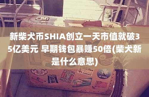 新柴犬币SHIA创立一天市值就破35亿美元 早期钱包暴赚50倍(柴犬新是什么意思)