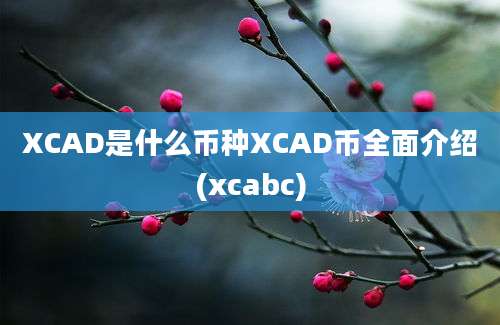 XCAD是什么币种XCAD币全面介绍(xcabc)