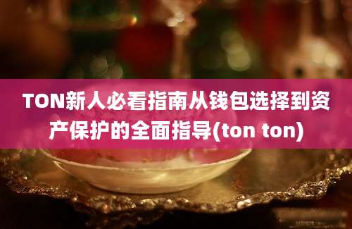 TON新人必看指南从钱包选择到资产保护的全面指导(ton ton)