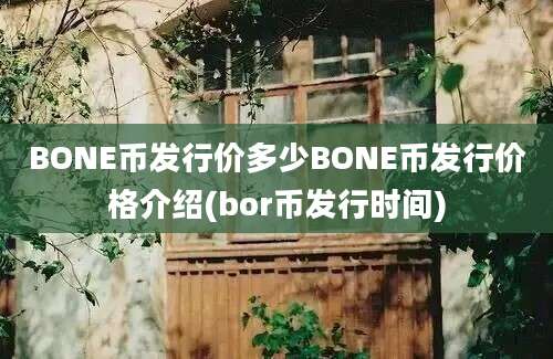 BONE币发行价多少BONE币发行价格介绍(bor币发行时间)