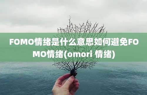 FOMO情绪是什么意思如何避免FOMO情绪(omori 情绪)