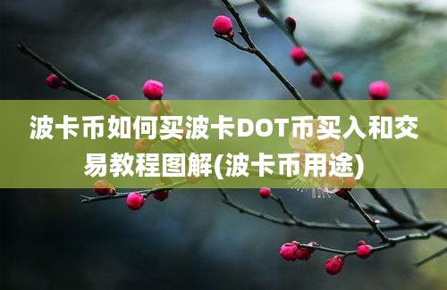 波卡币如何买波卡DOT币买入和交易教程图解(波卡币用途)