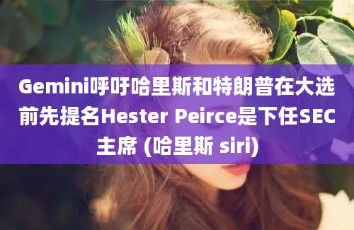 Gemini呼吁哈里斯和特朗普在大选前先提名Hester Peirce是下任SEC主席 (哈里斯 siri)