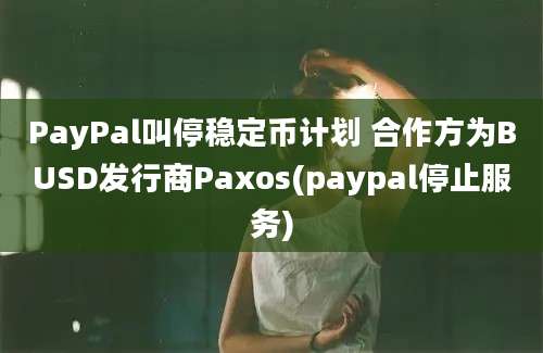 PayPal叫停稳定币计划 合作方为BUSD发行商Paxos(paypal停止服务)