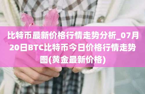 比特币最新价格行情走势分析_07月20日BTC比特币今日价格行情走势图(黄金最新价格)