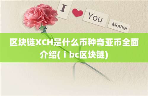 区块链XCH是什么币种奇亚币全面介绍(ⅰbc区块链)