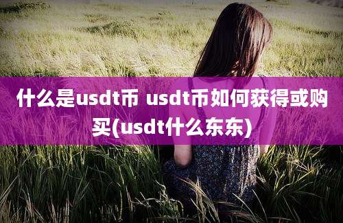 什么是usdt币 usdt币如何获得或购买(usdt什么东东)