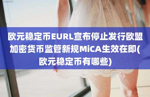 欧元稳定币EURL宣布停止发行欧盟加密货币监管新规MiCA生效在即(欧元稳定币有哪些)