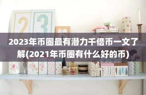 2023年币圈最有潜力千倍币一文了解(2021年币圈有什么好的币)