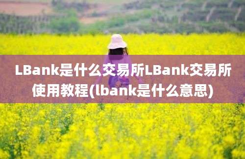 LBank是什么交易所LBank交易所使用教程(lbank是什么意思)