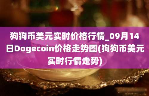 狗狗币美元实时价格行情_09月14日Dogecoin价格走势图(狗狗币美元实时行情走势)