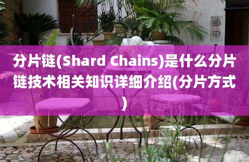 分片链(Shard Chains)是什么分片链技术相关知识详细介绍(分片方式)