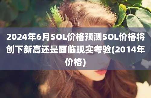 2024年6月SOL价格预测SOL价格将创下新高还是面临现实考验(2014年价格)