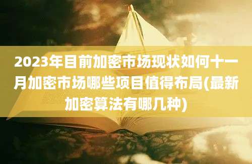 2023年目前加密市场现状如何十一月加密市场哪些项目值得布局(最新加密算法有哪几种)