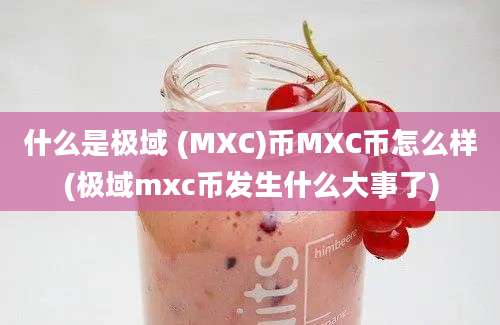 什么是极域 (MXC)币MXC币怎么样(极域mxc币发生什么大事了)