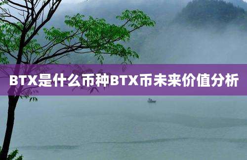 BTX是什么币种BTX币未来价值分析