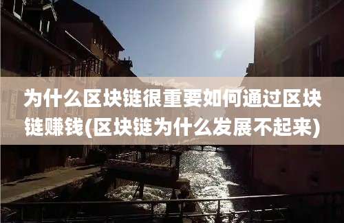 为什么区块链很重要如何通过区块链赚钱(区块链为什么发展不起来)