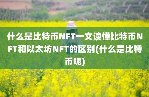 什么是比特币NFT一文读懂比特币NFT和以太坊NFT的区别(什么是比特币呢)