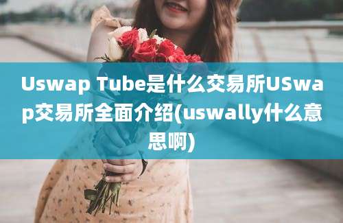 Uswap Tube是什么交易所USwap交易所全面介绍(uswally什么意思啊)