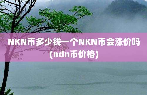 NKN币多少钱一个NKN币会涨价吗(ndn币价格)