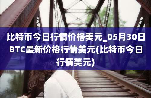 比特币今日行情价格美元_05月30日BTC最新价格行情美元(比特币今日行情美元)