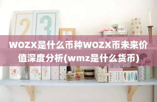 WOZX是什么币种WOZX币未来价值深度分析(wmz是什么货币)