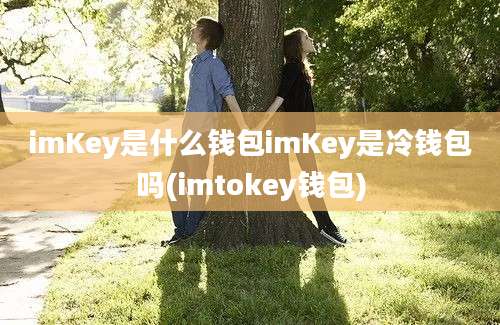 imKey是什么钱包imKey是冷钱包吗(imtokey钱包)