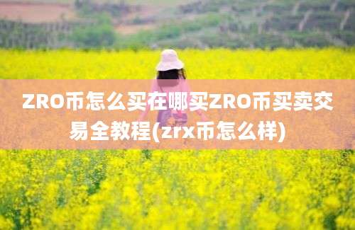 ZRO币怎么买在哪买ZRO币买卖交易全教程(zrx币怎么样)