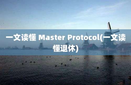 一文读懂 Master Protocol(一文读懂退休)