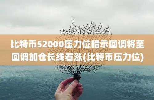 比特币52000压力位暗示回调将至回调加仓长线看涨(比特币压力位)