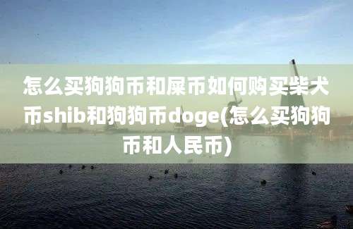 怎么买狗狗币和屎币如何购买柴犬币shib和狗狗币doge(怎么买狗狗币和人民币)